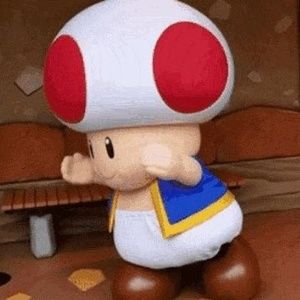 Meet your Posher, Damian